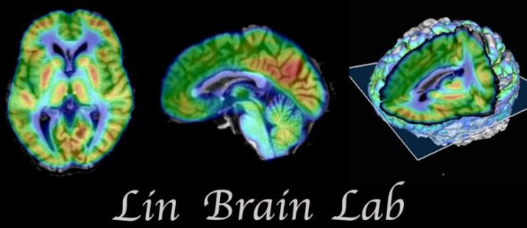 Lin_Brain_Lab